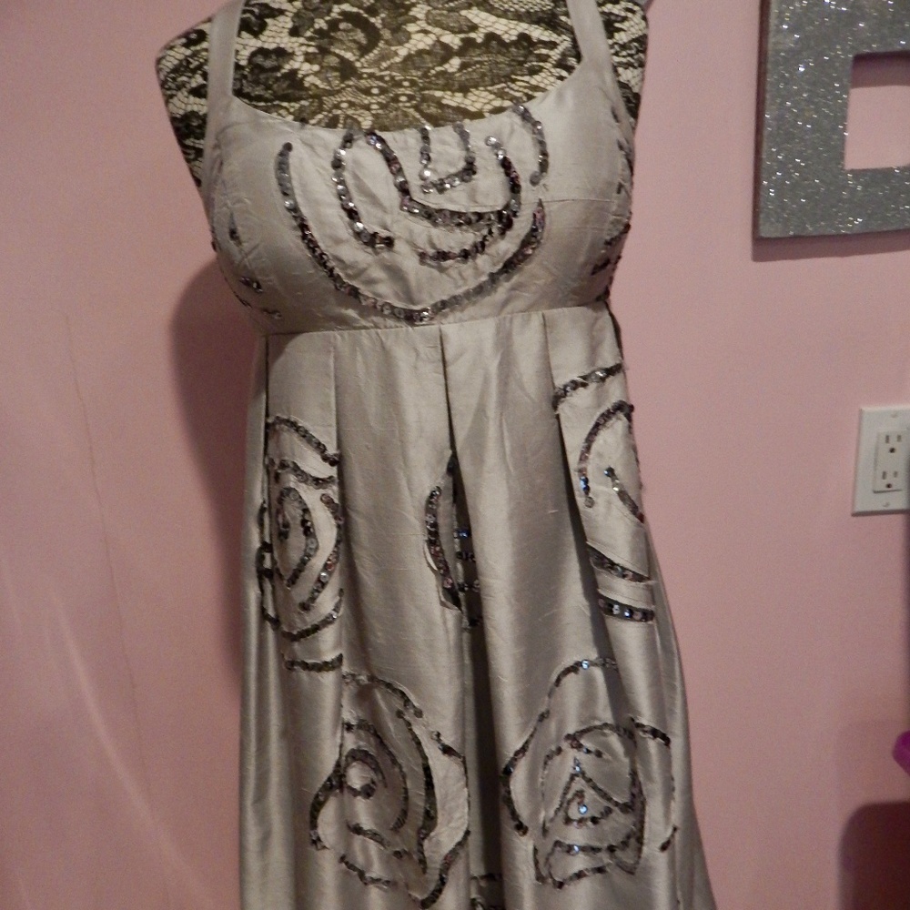 INC Silver Silk Dress With Sequence Design Size 10